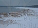 Laatokan rantaa talvella. Kuva Suvi Niinisalo.