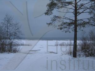 Laatokan rantaa talvella.  Kuva Suvi Niinisalo.